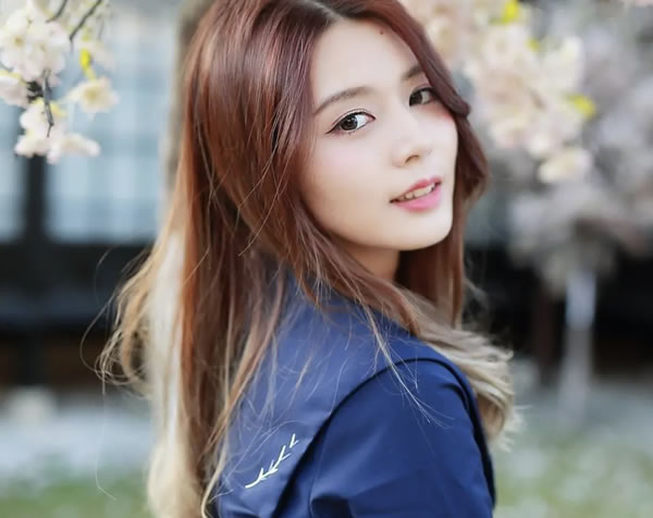 ������2026���������