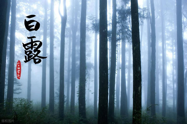 2026���¶����һ��,2026���¶�ľ���ʱ��