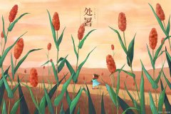 2026年处暑是哪一天,2026年处暑的具体时间