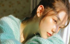 ��ţ��2025��12����������